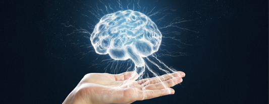 The hand holding a brain symbolizes the skin-brain connection. The skin, often called the "third brain," is intimately linked to our overall skin health, including condition like rosacea. 